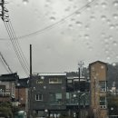 백제13월중동점 이미지