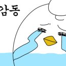 온동물병원 네이버블로그