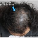 위라인(WEE:LINE) 이미지