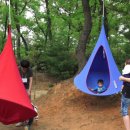 한국특수요육원