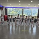 STN태권도장 네이버블로그