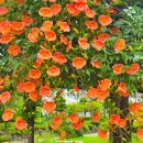 충북도립대학교 이미지