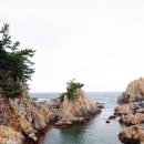삼척 월천항~삼척 증산해수욕장 Daum카페