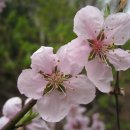 관음사 가는길 이미지