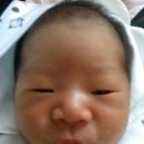 아기곰맘마 이미지