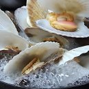 진명빌딩 앞 | 압구정에서 만난 찐맛집! 강남구청맛집 인정 또 인정