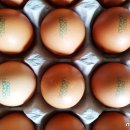 주령축산 이미지