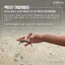 [제부마을]조개캐기체험
