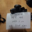 입문용 DSLR 정리합니다. 이미지