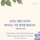 청아한