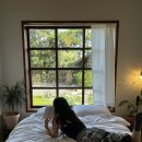 무릉이가 | MUREONG2GA 제주 무릉이가 숙소 고유 (후기)