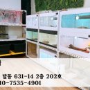 마마엠