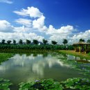 성원.동아아파트 이미지