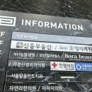 보라안과의원 이미지
