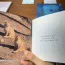 나만 알고 싶은 여름 쉼표, 힐링하고 싶다면 잠시섬으로!