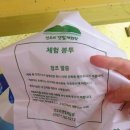 신 빨강지붕
