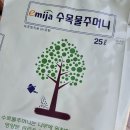 주머니 닷컴