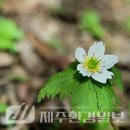 지천소공원 이미지