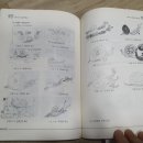 새화랑유치원 이미지