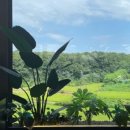 더레이크스토리 이미지