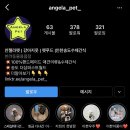 안젤라펫 이미지