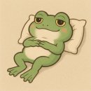 중앙산소 | 몸이 개운해지는 베개, 모미 산소베개 체험단 리얼 사용 후기