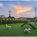 행복한아이유치원 이미지