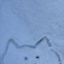 조아노래방 | 귀여운게젤조아