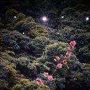 서소문역사공원 이미지