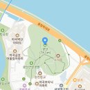 2024 여름, 한강변 숲 둘레길 이미지