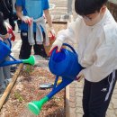 내토초등학교 이미지