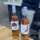 신사역 와인 판매점 모라비아 와인이야기 체코 와인 시음 후기