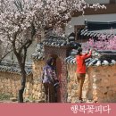 달성군옥포면반송보건진료소 | 4월 달성둘레길 걷기 :: 살랑살랑~봄바람에 걷기 딱! 좋은 4월, 화원역사탐방로길을 걸어보아요...
