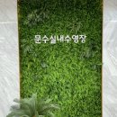 프리타임 | 울산프리다이빙 체험강습 후기 - 플레이스유 프리다이빙교육으로 힐링타임