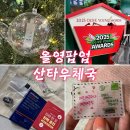 이동우체국 | 홍대팝업 산타우체국 2025 올리브영 어워즈 팝업스토어 오픈첫날 워크인 방문 후기