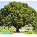 나루터로1-4 이미지