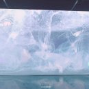 디지털오아시스