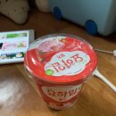 고고싱 - 세종특별자치시 | 고고싱