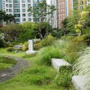 작은정원 이미지