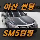 루마버텍스아산탕정점