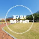 대구 가을 나들이 피크닉 가볼만한곳 월광수변공원