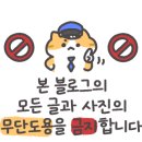 하운드기장일광 이미지