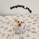 송내동3 이미지