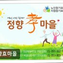 효행복요양원 | [부산 요양원/추천/후기/가격] 정향효마을 부산 정향효마을, 가족 같은 환경 제공