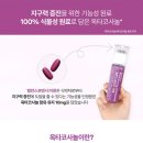 브이원약국 이미지