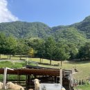 한물목장 이미지