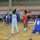 강일중학교 이미지