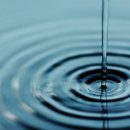 머슬엑스짐 이미지