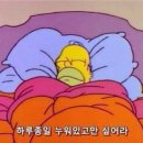시니롱
