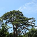 용하농장 이미지